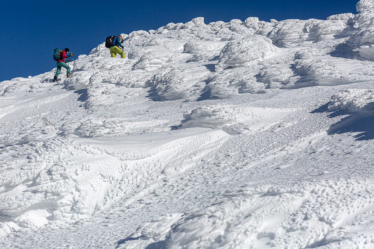 292